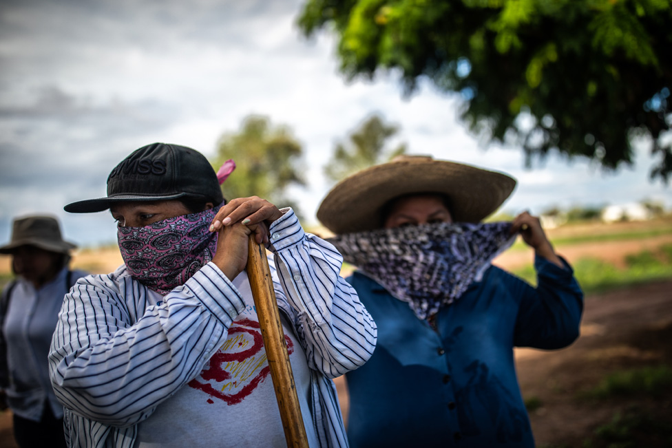 Хуана Эскаланте (слева) готовится к поиску возле фермы, где всадник сообщил о запахе разложения