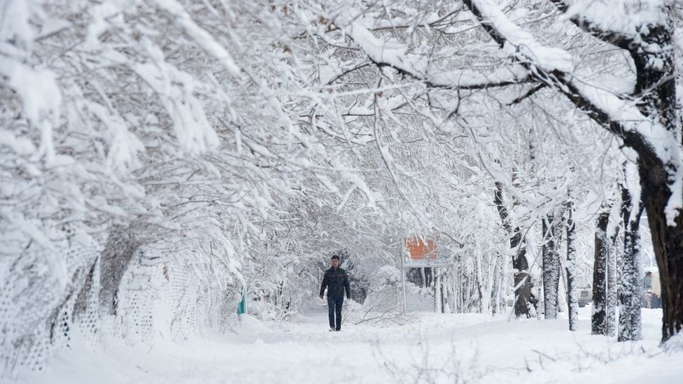 An Afghan man walks along a path under snow-laden trees in Kabul, 2017