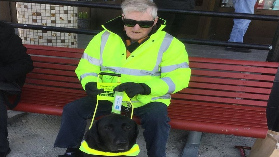 blind dog and guide dog