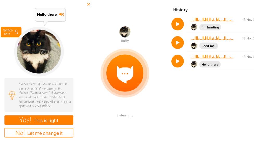 MeowTalk: Alexa developer's app to translate cat's miaow - BBC News