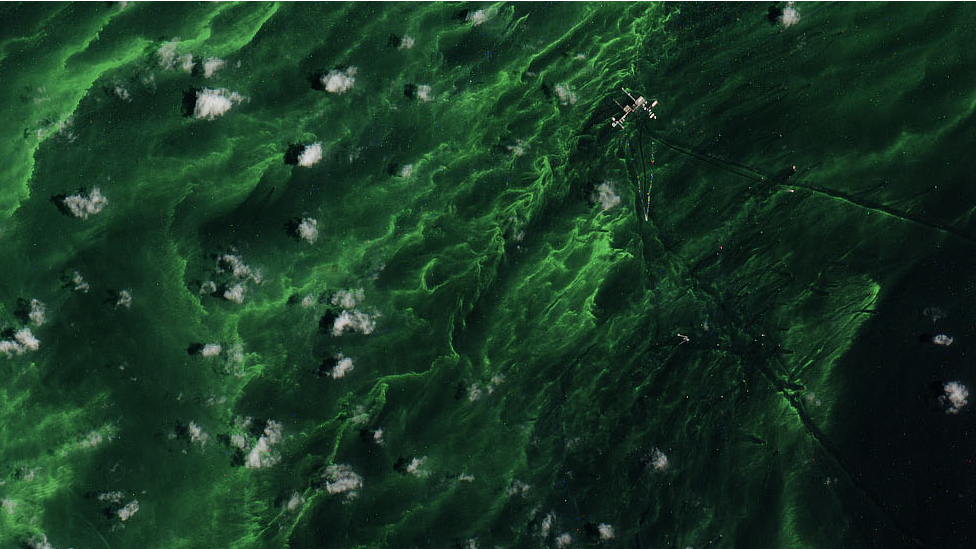 El color verde obedece a presencia de algas que ocasionan problemas economicos y de salud a los locales.