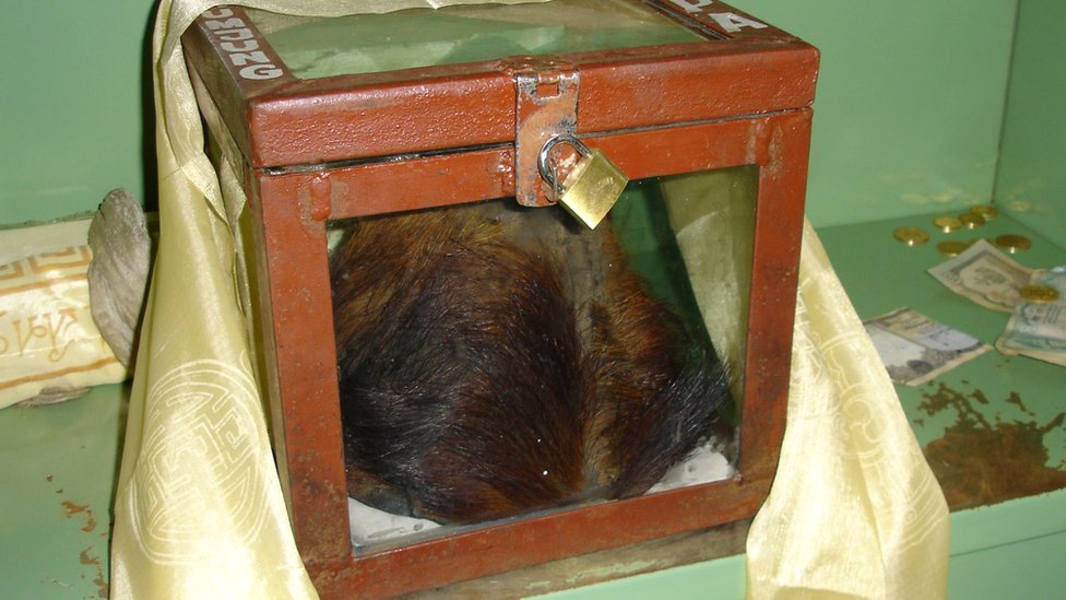 Restos de supuestos yetis son mantenidos en monasterios en la región del Himalaya. Restos de piel de un supuesto yeti