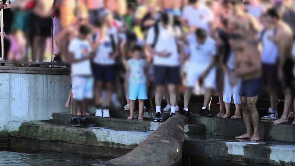 The walrus, with a crowd of people very close to her.