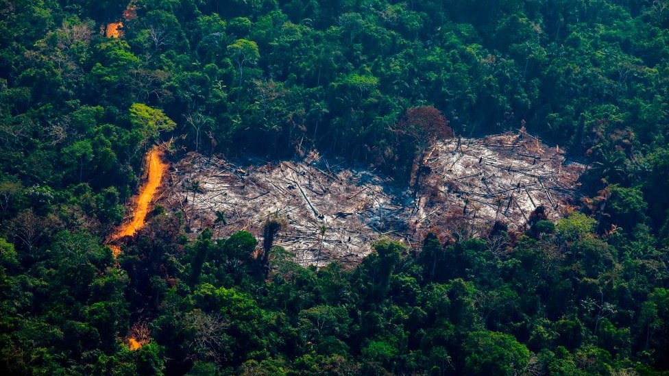 Vista aérea de la deforestación en el Territorio Indígena Menkragnoti en Altamira, estado de Pará, Brasil