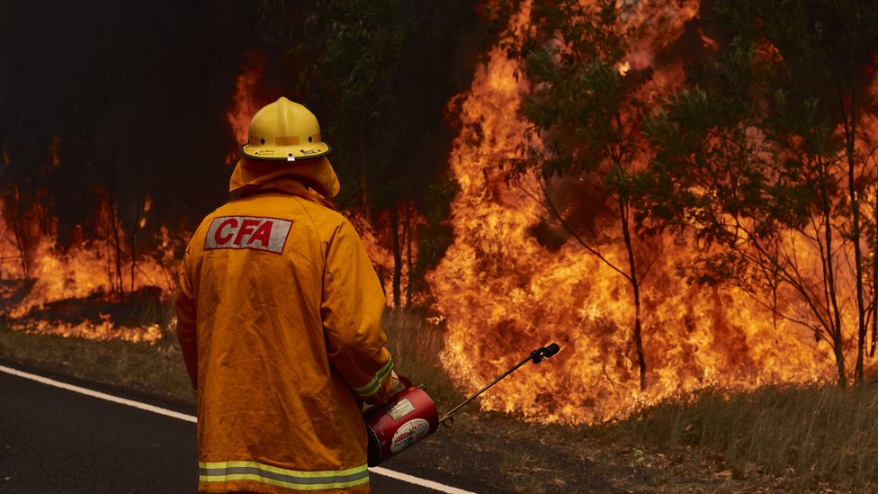 Пожарный с огнетушителем в руке тушит пожар в Новом Южном Уэльсе