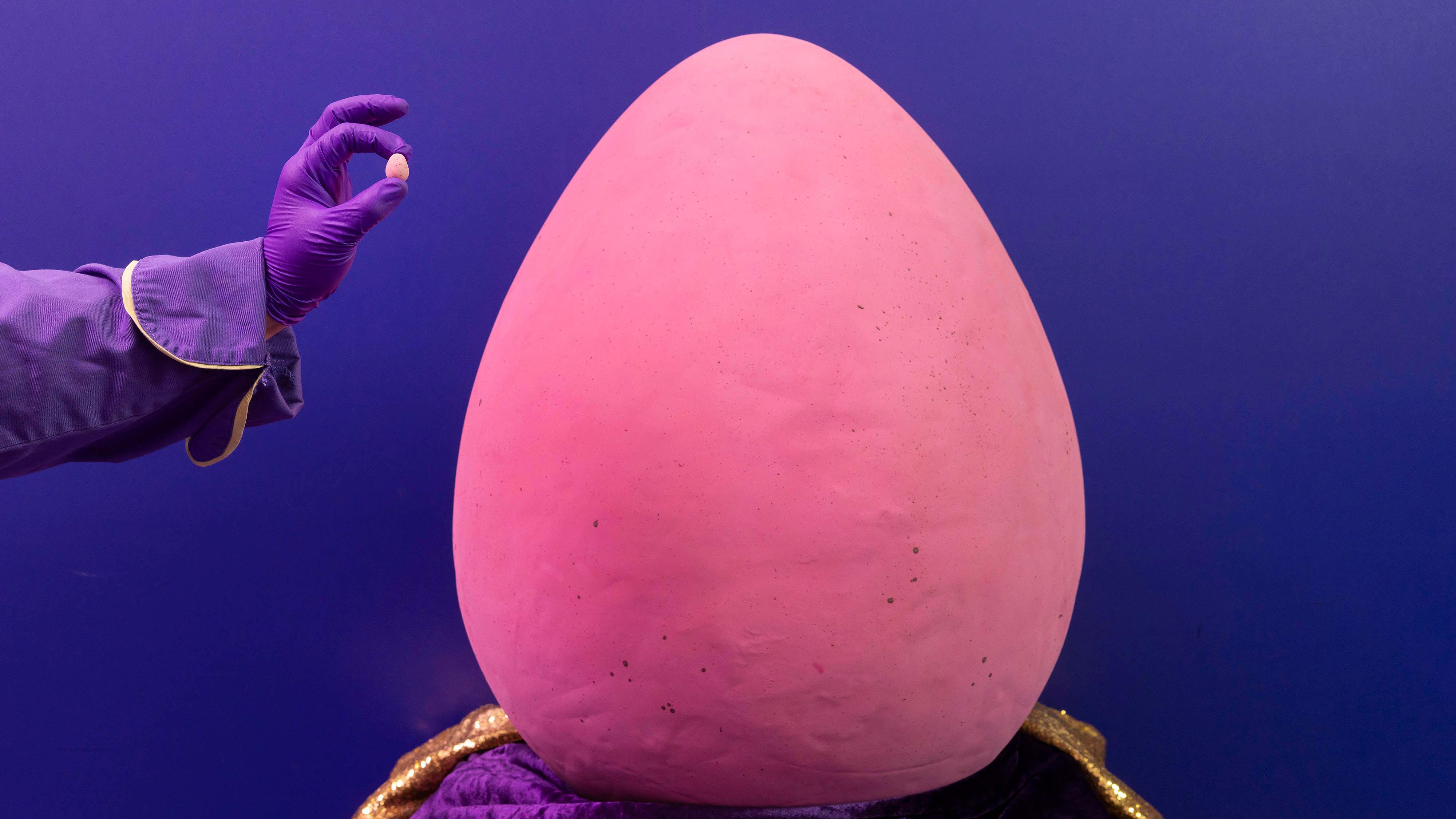 Chocolatiers create 'world's largest' Mini Egg at Cadbury World