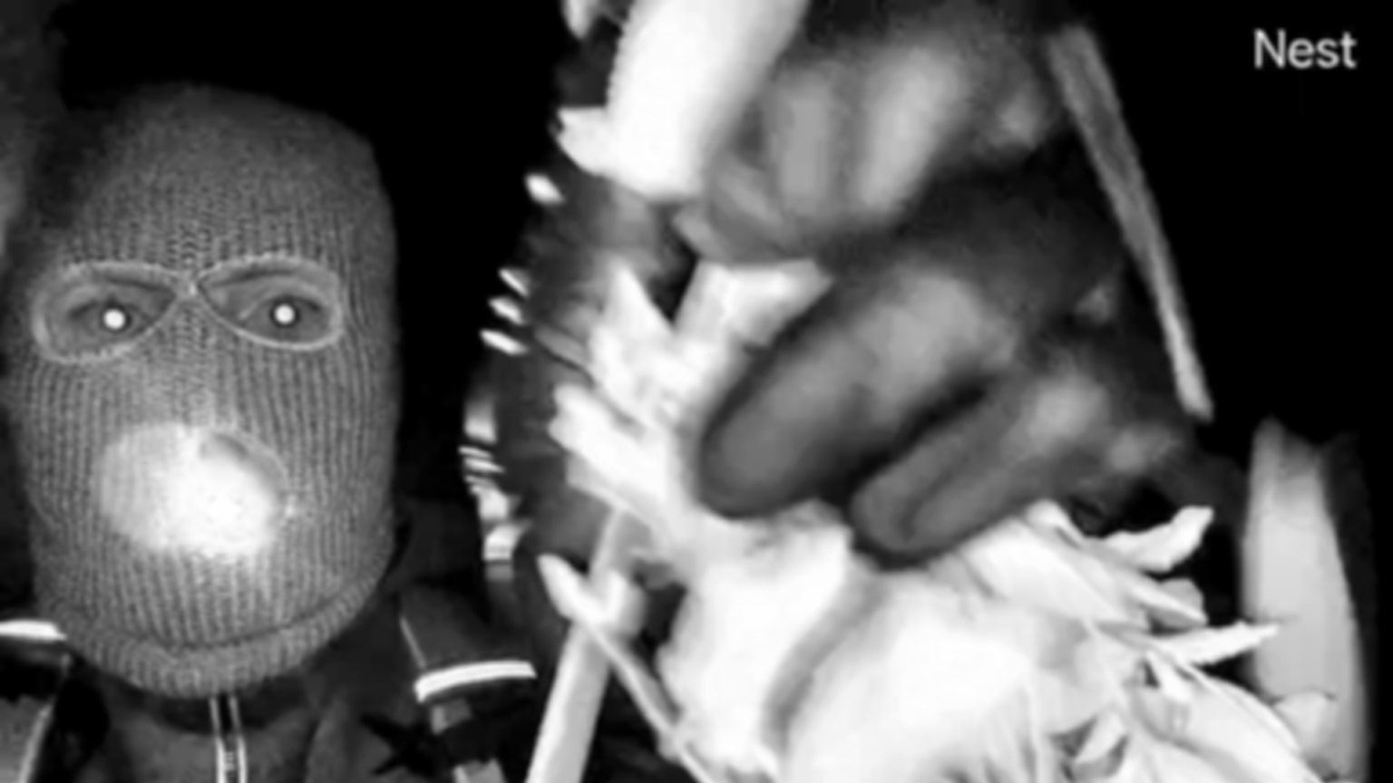 FBI releases images of masked person in hunt for Nancy Guthrie