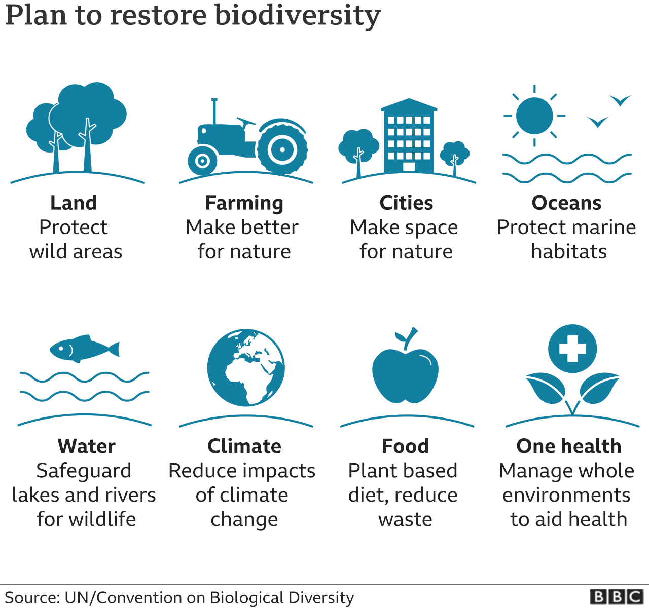 biodiversity-why-the-nature-crisis-matters-in-five-graphics-bbc-news