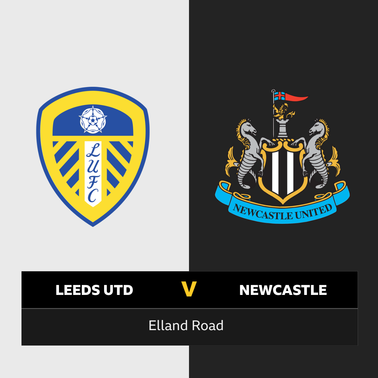 Leeds v best sale newcastle what channel