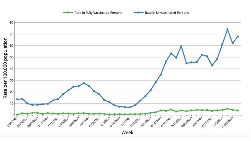 Gráfico muestra la taza de hospitalizaciones por Covid en EE.UU. entre vacunados y no vacunados
