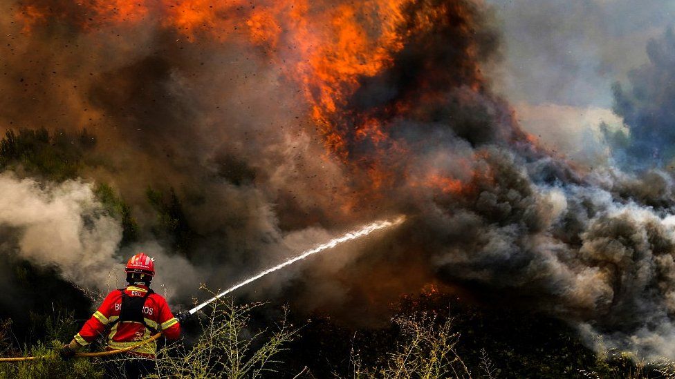 Baiao, Portugal: Los incendios en el norte de ese país son los peores desde 2017.