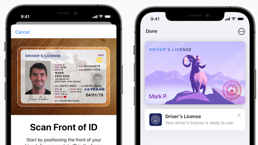 Examples of driver's licenses in the Apple Wallet app