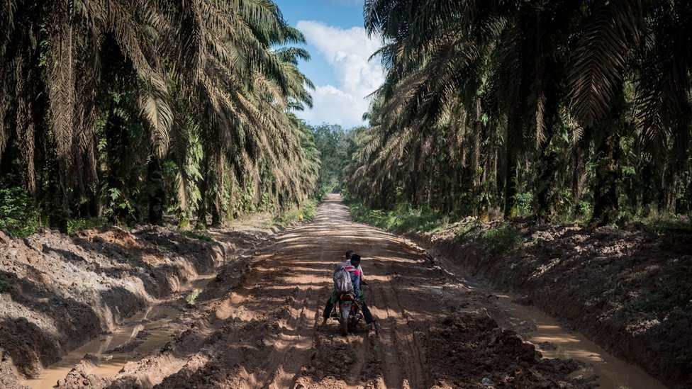 Villagers had been promised infrastructure and development