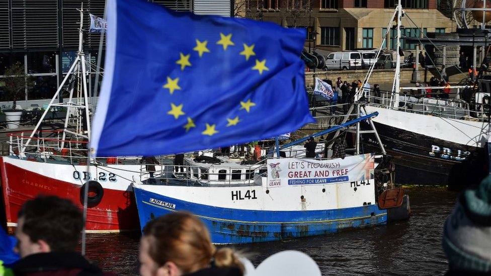 Протестующие против Брексита поднимают флаг ЕС перед кампанией рыбаков из Ньюкасла в поддержку Брексита.