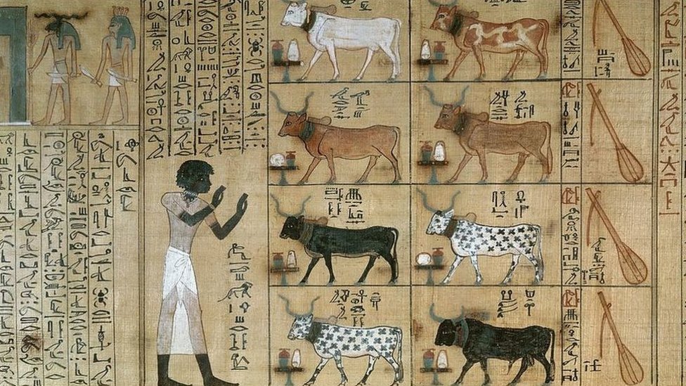 تمدنا اللغة المصرية القديمة بمعارف دقيقة عن الفكر المصري خلال عصوره المختلفة