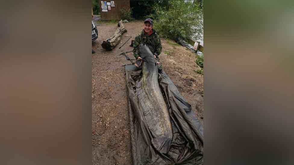 Phil Spinks and the Giant Catfish