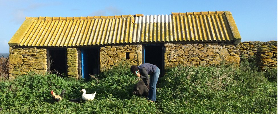 David asegura que gracias al internet y sus teléfonos celulares se sienten muy conectados. David hablando por celular