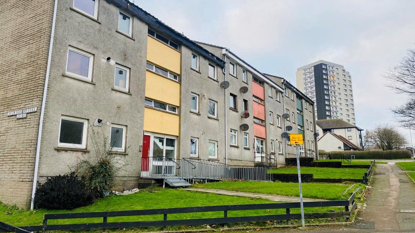 Woman, 41, killed in American Bulldog attack in Aberdeen
