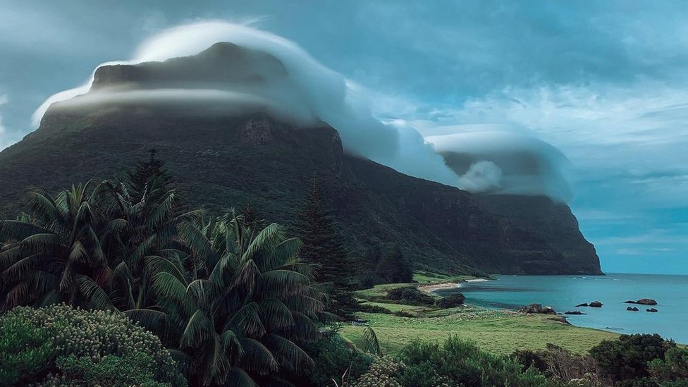 Lord Howe Island: Saving an Australian paradise's 'cloud forest'