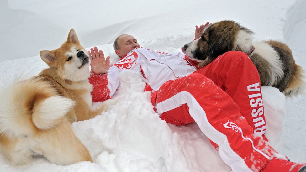 На снимке изображен президент России Владимир Путин, играющий со своими собаками