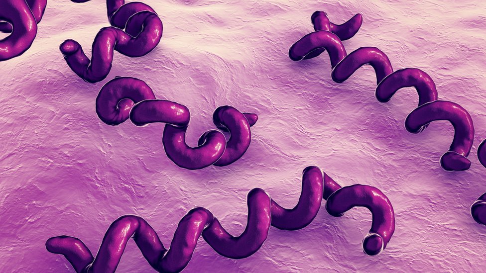 3D ilustracija bakterije koja izaziva sifilis