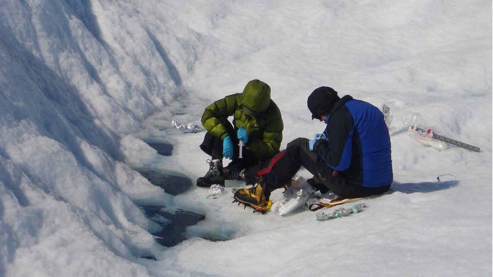 Dr Arwyn Edwards and Joseph Cook sampling glacier 'weathering crust' meltwater and ice to measure microbe numbers.