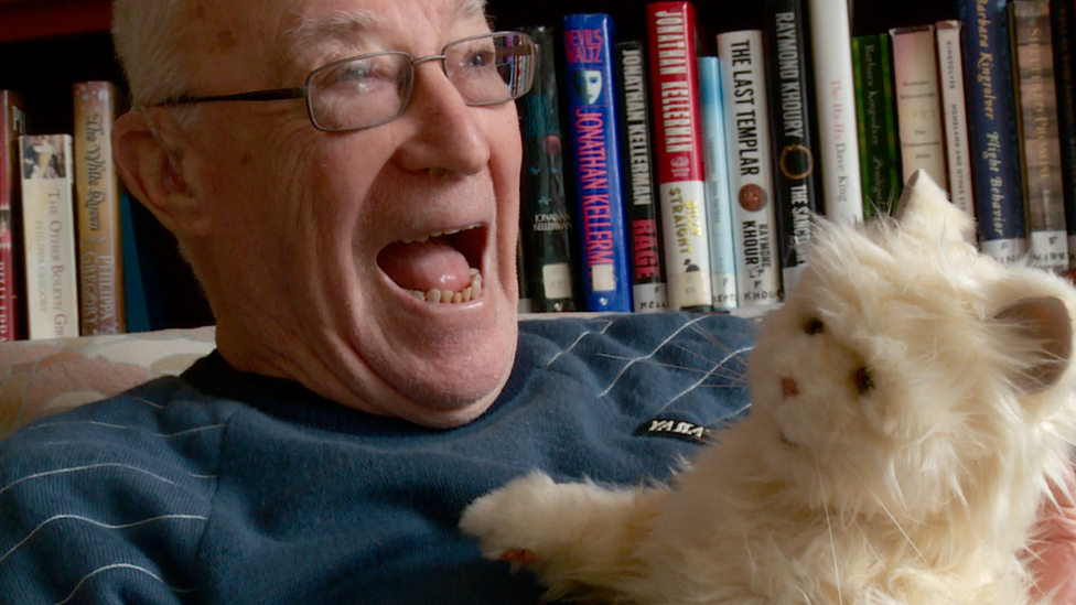 robotic cats and dogs