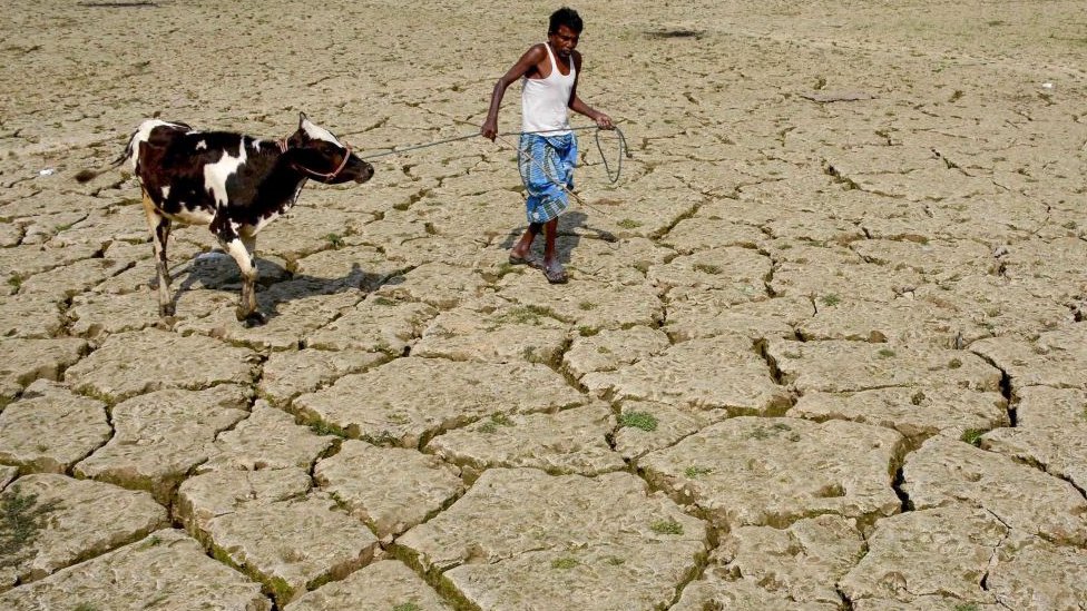 Suša u Indiji: