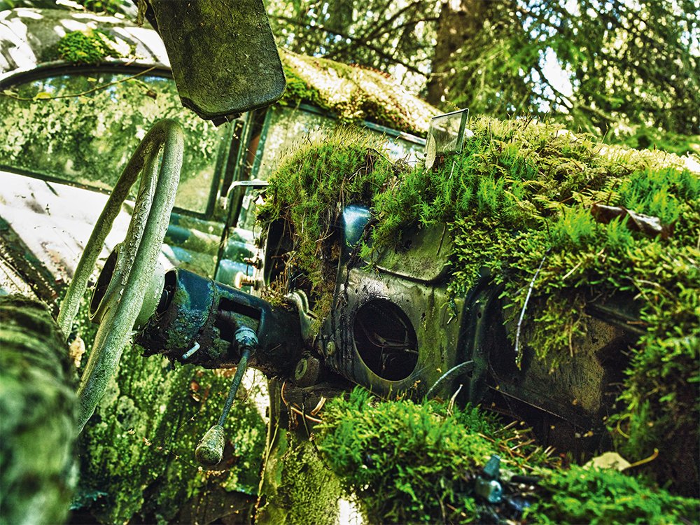 Kontrolna tabla napuštenog automobila prekrivena mahovinom i biljkama koje raste unutra