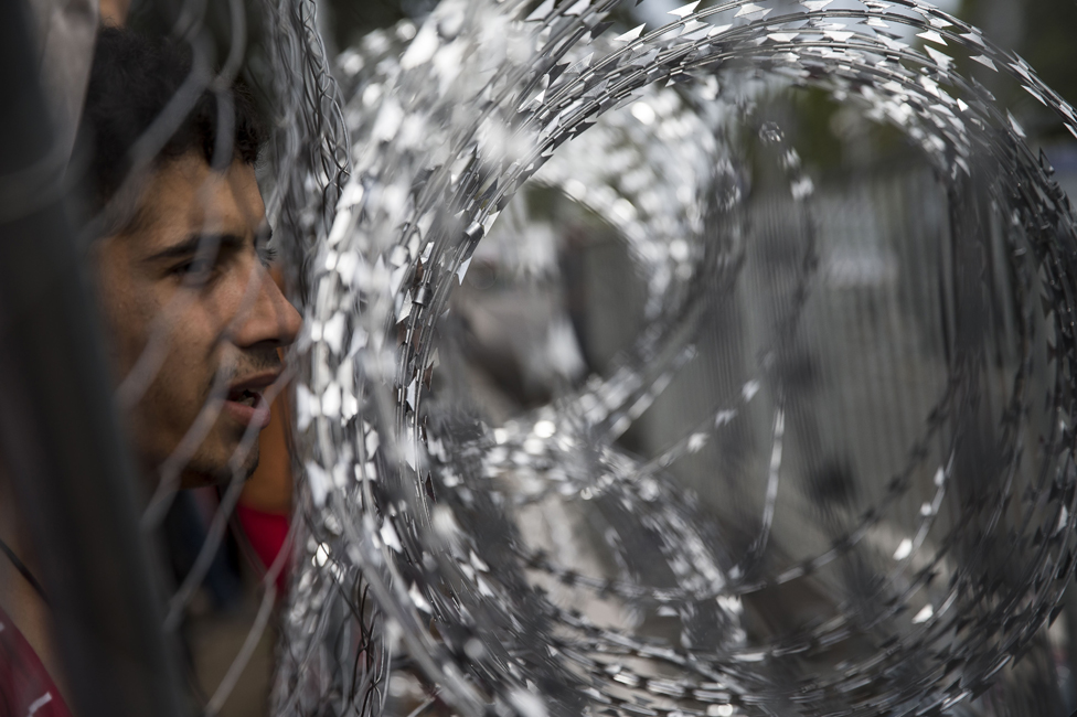 A refugee looks through the fence on the Serbia-Hungary border, September 2015