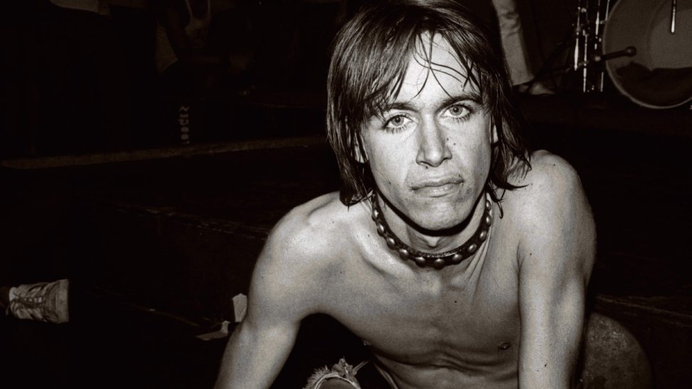 the lovely eggs iggy pop