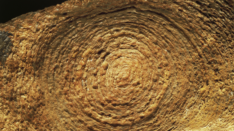 Estromatolitos del período cámbrico