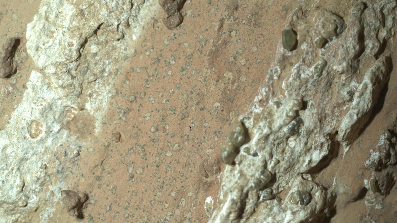 Nasa rover finds rocks on Mars with potential signs of past life