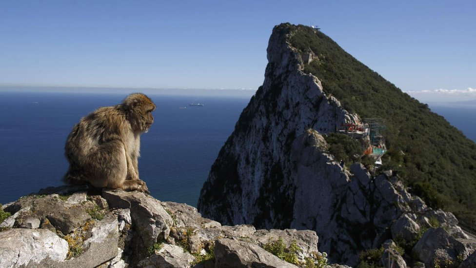 Finlayson dice que los abruptos acantilados de Gibraltar han ayudado a preservar los restos de los neandertales. Acantilados de Gibraltar.