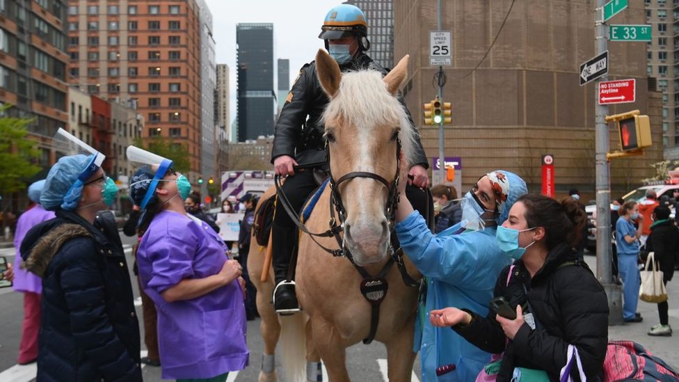 Медицинские работники Нью-Йорка гладят полицейскую лошадь