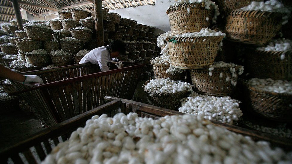 Producción de seda en China.