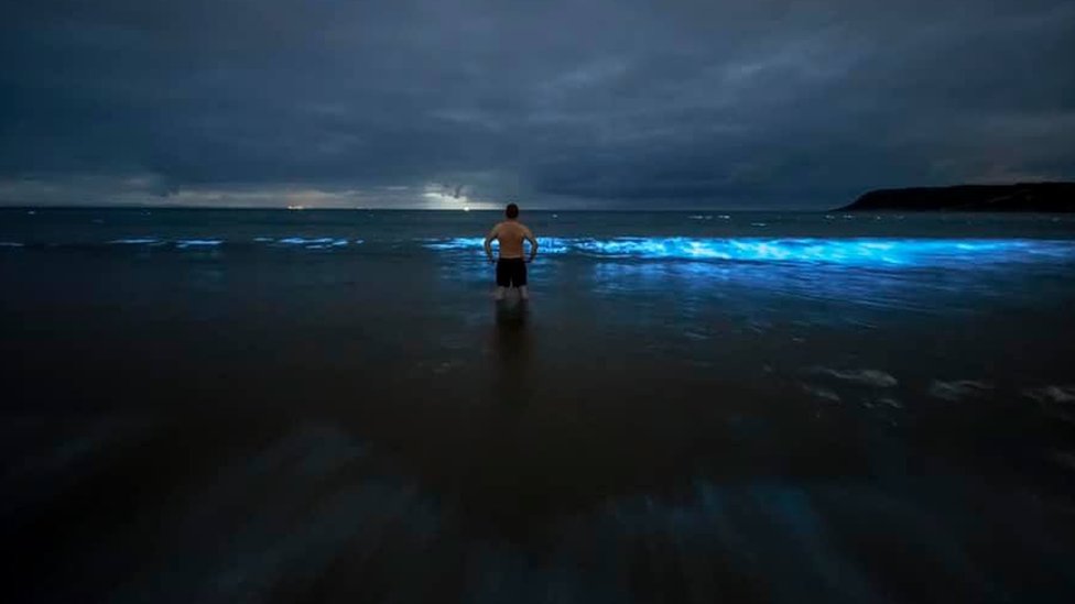 Человек в море, освещенный биолюминесцентным планктоном