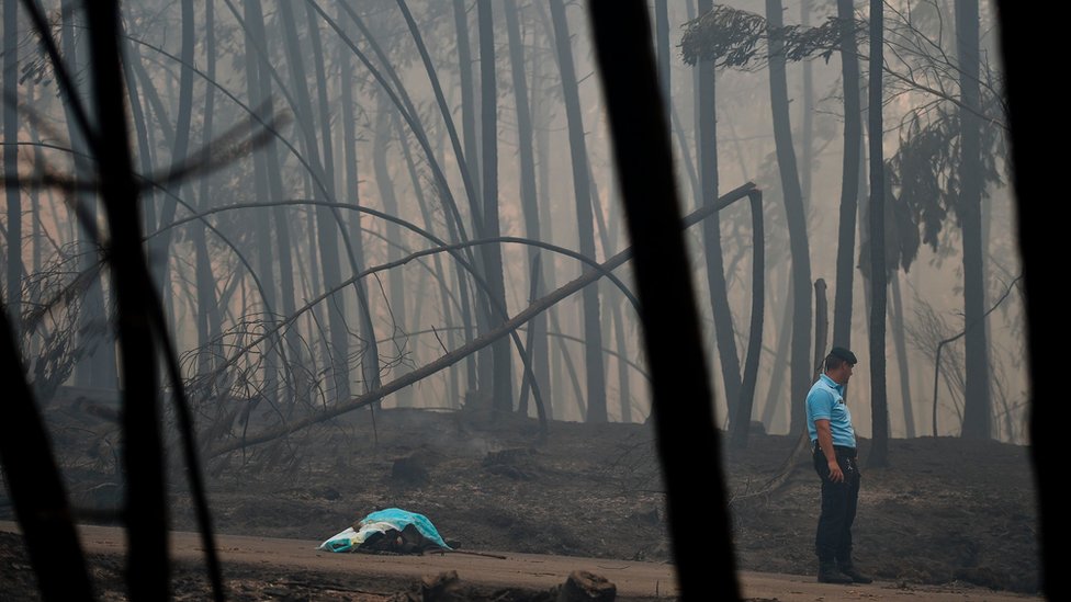Полицейский стоит у трупа жертвы лесного пожара в Педрогао, 18 июня 2017 г.