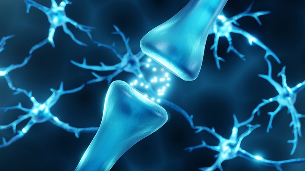 Neurotransmisores conectados
