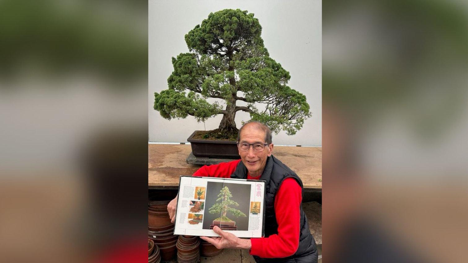 Bonsai trees stolen from Surrey nursery