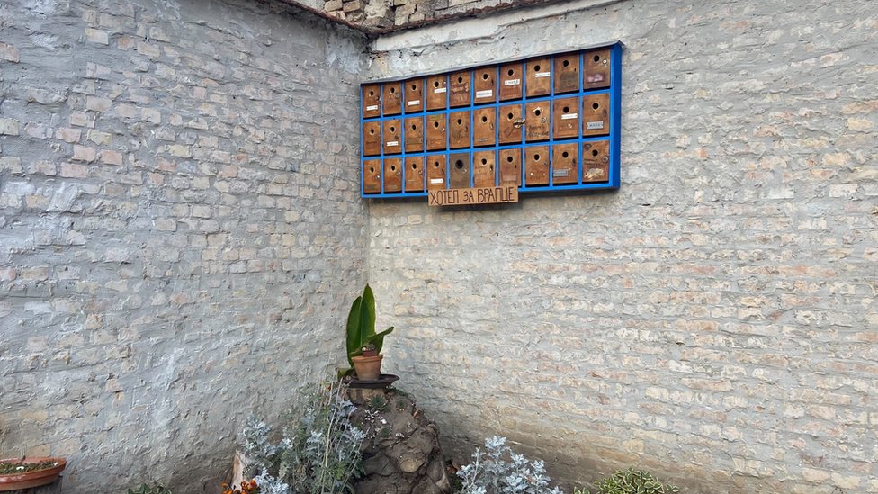 Okačen je na zid u dvorištu Narodne biblioteke „Jovan Popović" zato što se vrapci najčešće gnezde u šupljinama objekata u kojima žive ljudi