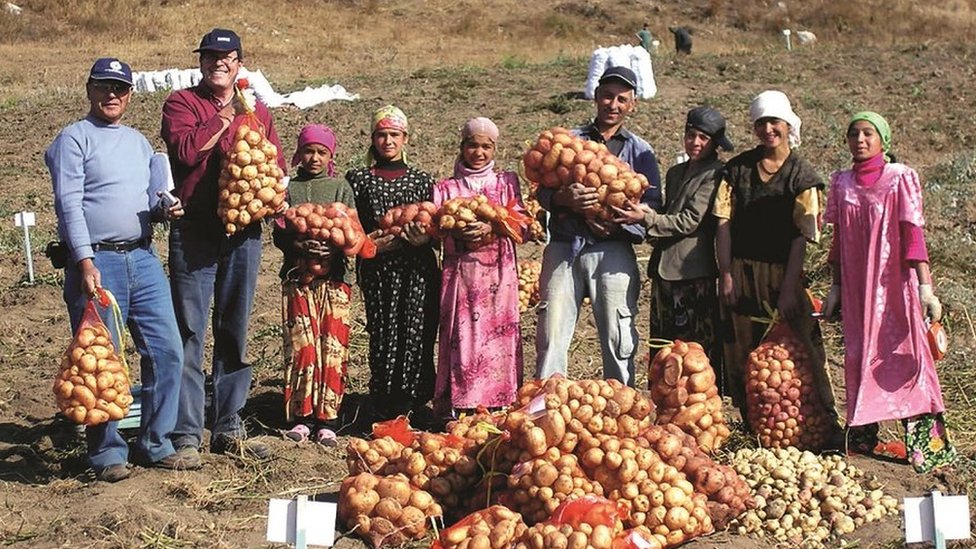 En las estepas de Tayikistán, las comunidades locales también adoptaron las papas como uno de "sus" productos.