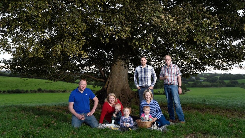 The Picnic Tree, Ферма Cloughbane, Помрой, графство Тайрон