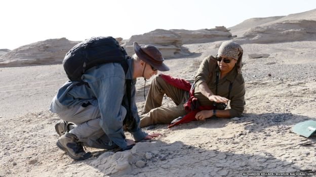 Kellner trabajó en China junto a su colega Xiaolin Wang, del Instituto de Paleontología de Vertebrados en Pekín. Foto: Alexander Kellner, Museu Nacional, UFRJ Kellner junto al paleontólogo chino Xialoin Wang Foto: Alexander Kellner, Museu Nacional, UFRJ