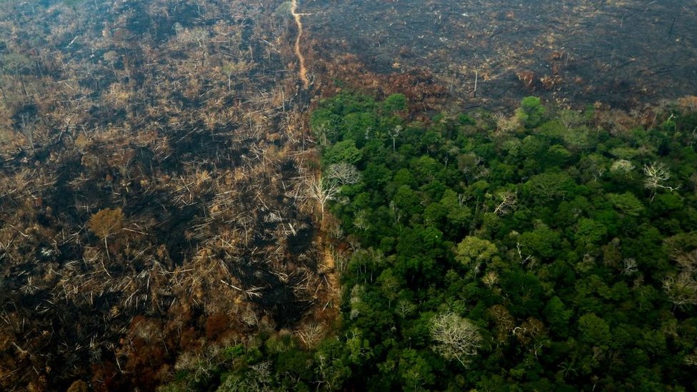 incendio en la Amazonía.