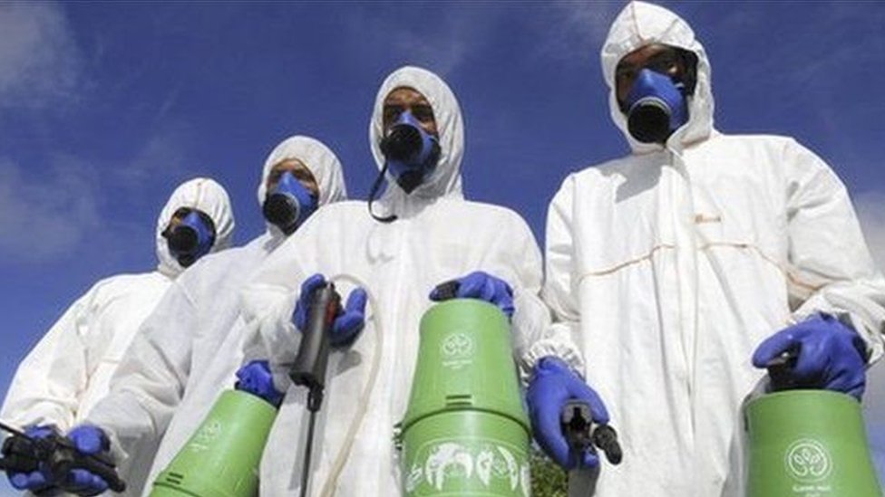 Insecticida