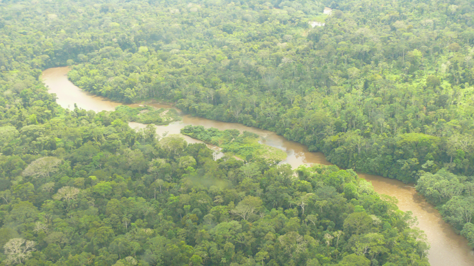 VIsta aérea de la Amazonía ecuatoriana