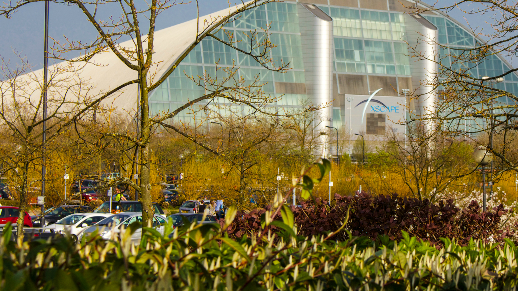 BBC Local Live Beds, Herts & Bucks on Friday, 12 February 2016 BBC News