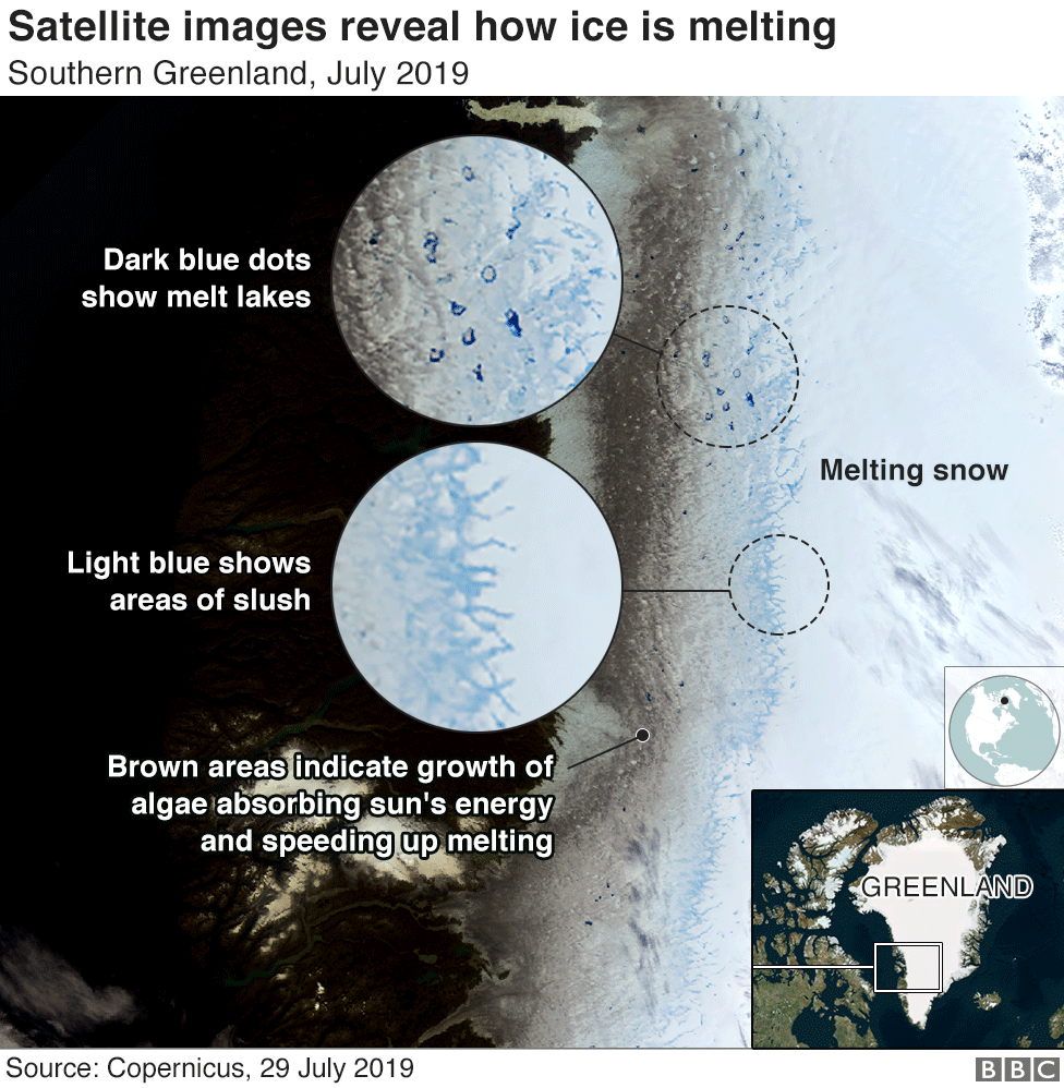 Спутниковый снимок показывает, как тает лед