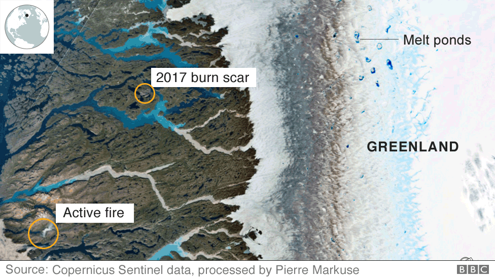 Спутниковый снимок лесного пожара в Гренландии